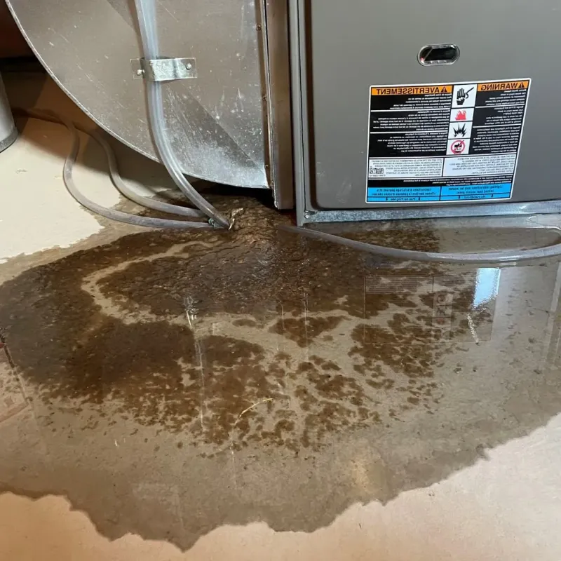 Pipe Burst and Leak Restoration in North Eastham, MA